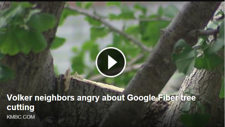 Volker Neighbors Angry About Google Fiber Tree Cutting