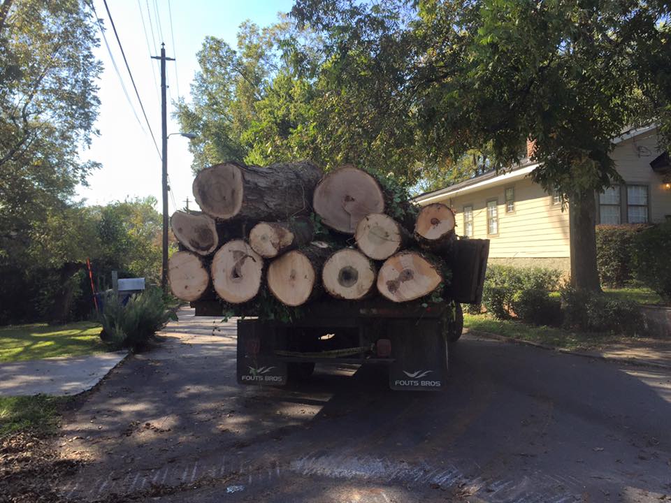 logs in truck